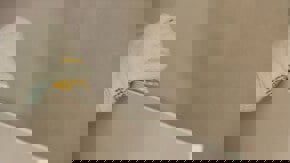 Обшивка стін гіпсокартоном своїми руками